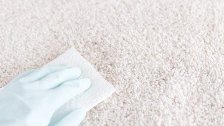 Can I Leave Vinegar on Carpet Overnight