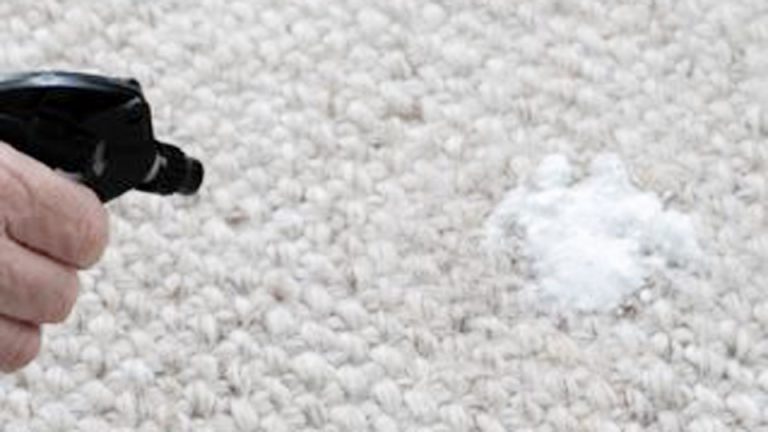 How to Clean Carpet Stains with Vinegar and Baking Soda
