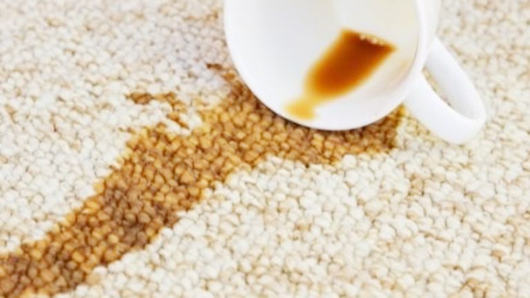 How to Clean Up a Coffee Stain on Your Carpet
