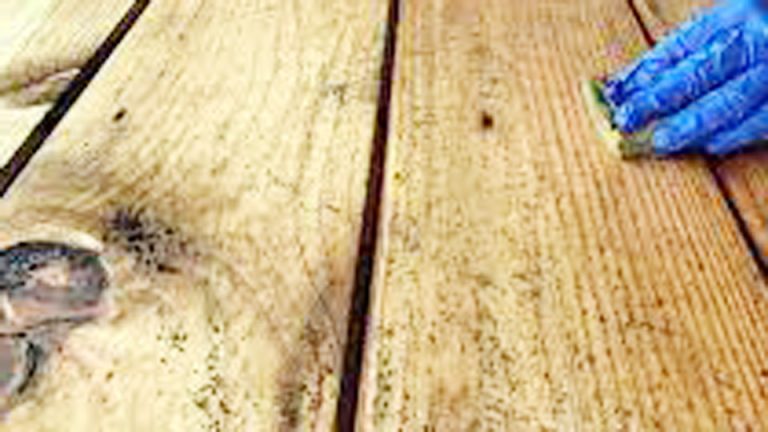 Can I Leave Vinegar on Mold Overnight on Wood
