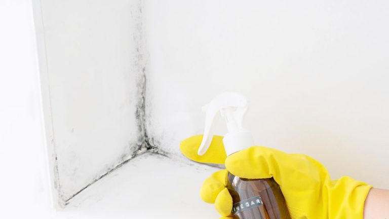 Can You Leave Vinegar on Walls?