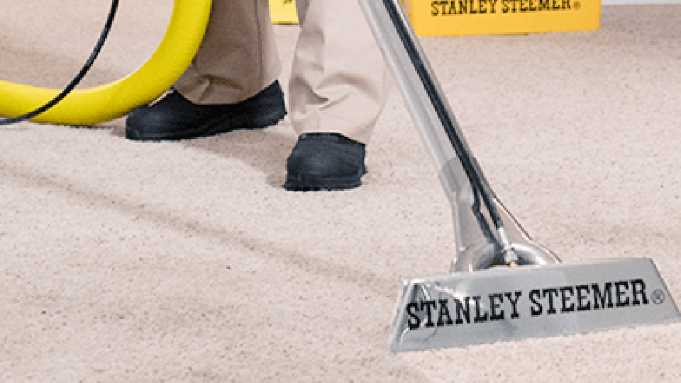 Do I Need to Vacuum Before Stanley Steemer? 1 Do I Need to Vacuum Before Stanley Steemer
