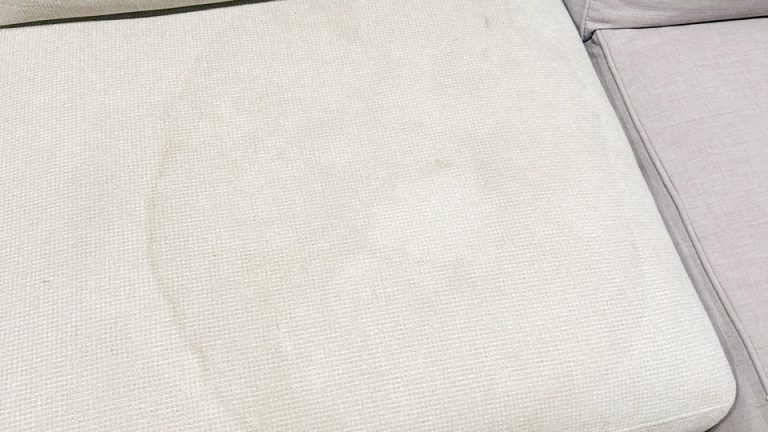 How to Get Pee Out of a Fabric Couch