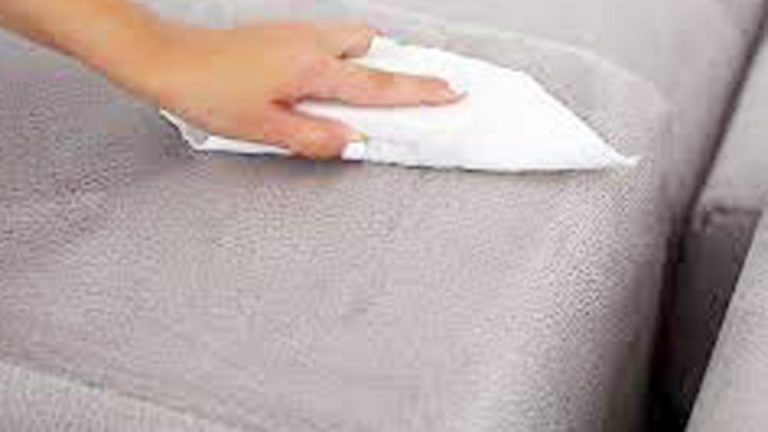 How to Get Pee Out of a Microfiber Couch