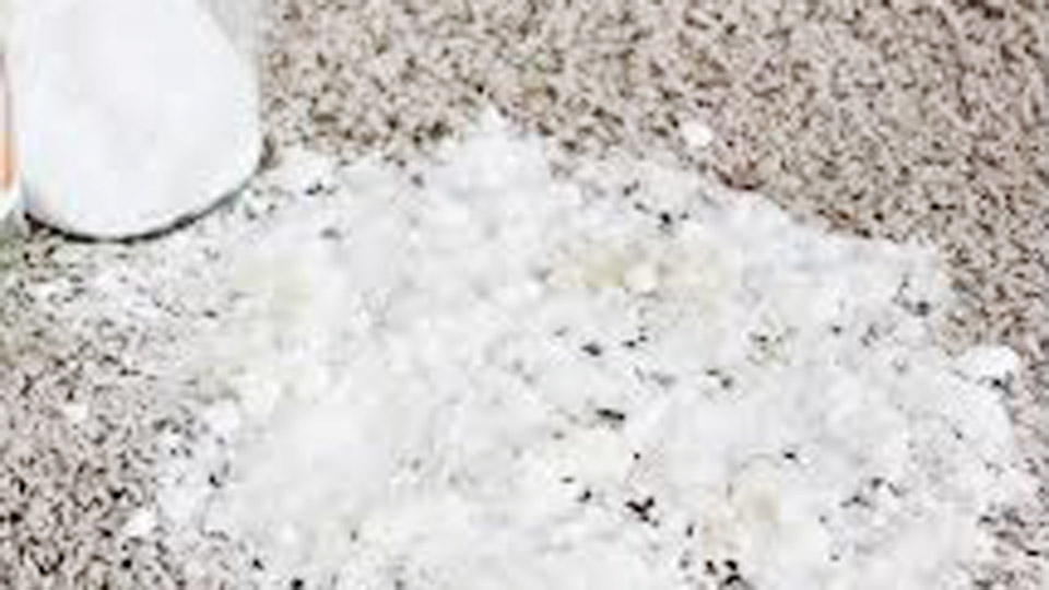 How to Get Rid of Carpet Stains with Baking Soda 1 How to Get Rid of Carpet Stains with Baking Soda