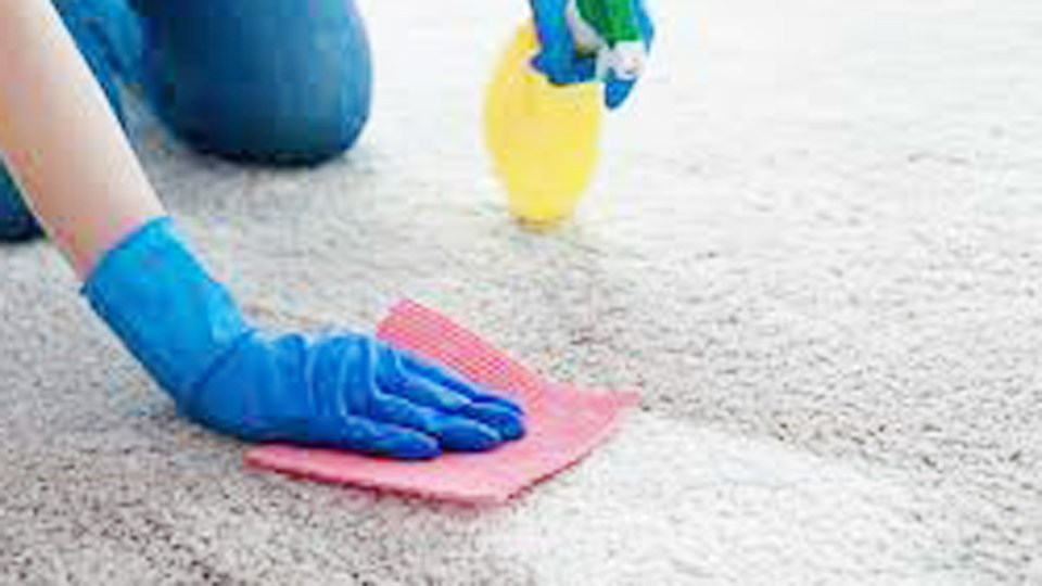 How to Make DIY Carpet Cleaner? 1 How to Make DIY Carpet Cleaner