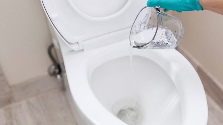 How to Remove Blue Toilet Cleaner Stains from Toilet Seat