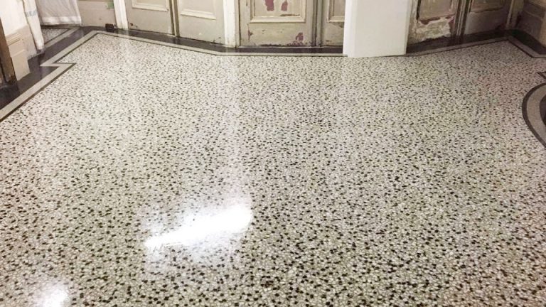 How to Remove Dog Urine from Marble Floor