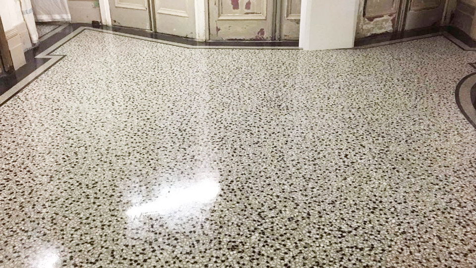 How to Remove Dog Urine from Marble Floor 1 How to Remove Dog Urine from Marble Floor