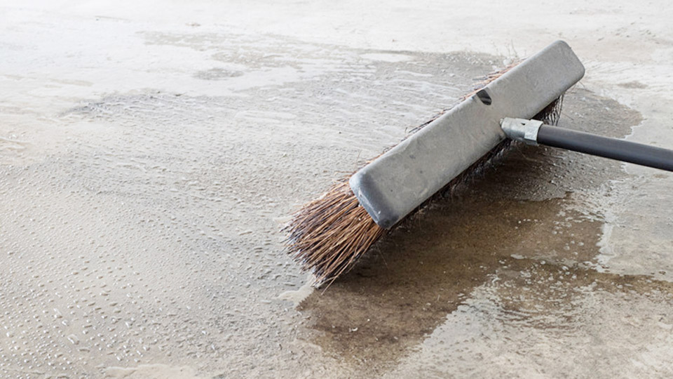 How to Remove Dog Urine from Marble Floor