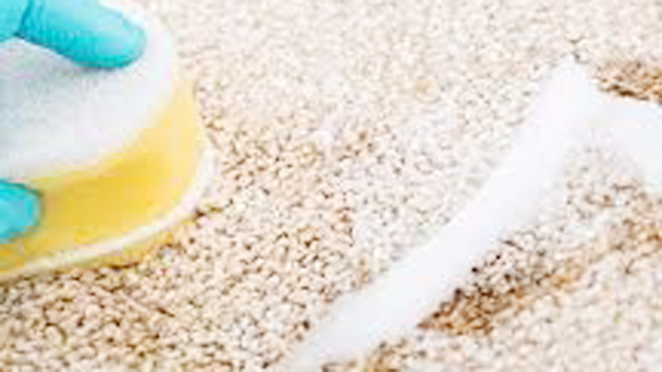 What Is the Best Homemade Carpet Cleaner? 1 What Is the Best Homemade Carpet Cleaner?